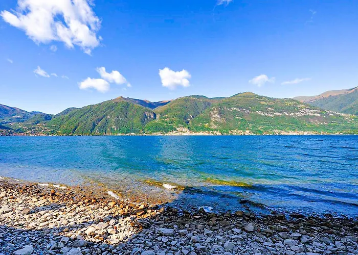 Portobello * ليتْسّينو